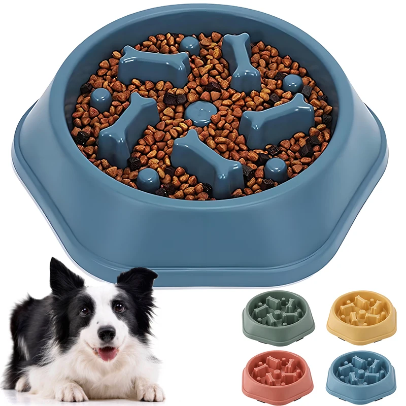 Nuevo Comedero Lento para Perr - Royal Canin Food Medium reseña y precio