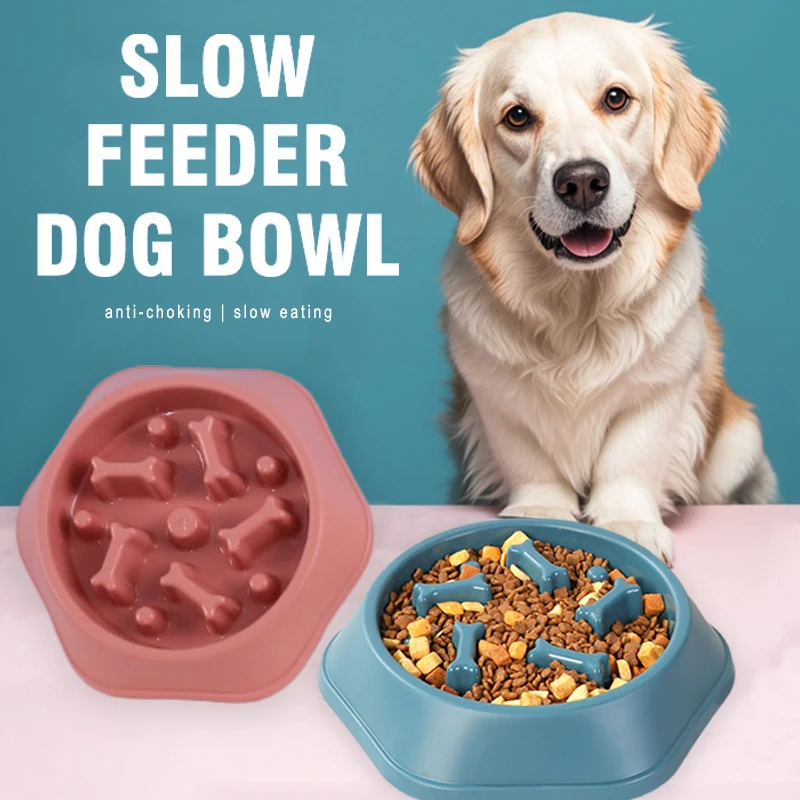 Nuevo Comedero Lento para Perr - Royal Canin Food Medium reseña y precio
