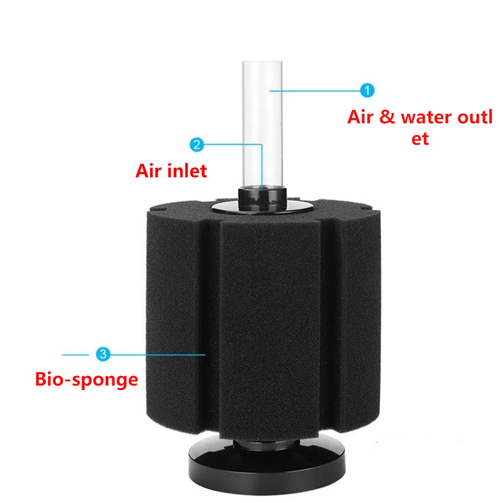 Esponja de filtro de acuario p - Aquael Filter Fzn reseña y precio